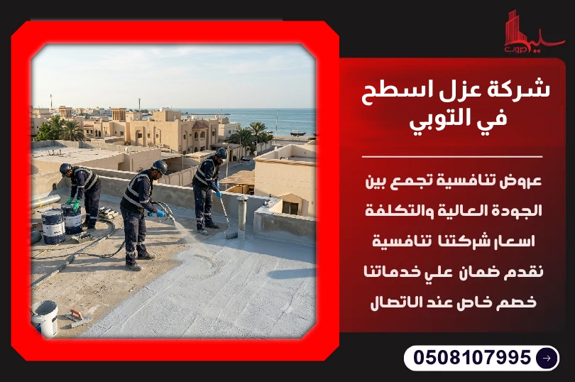 شركة عزل اسطح في سنابس شركة عزل اسطح في سنابس